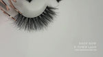 Load and play video in Gallery viewer, P-Town
